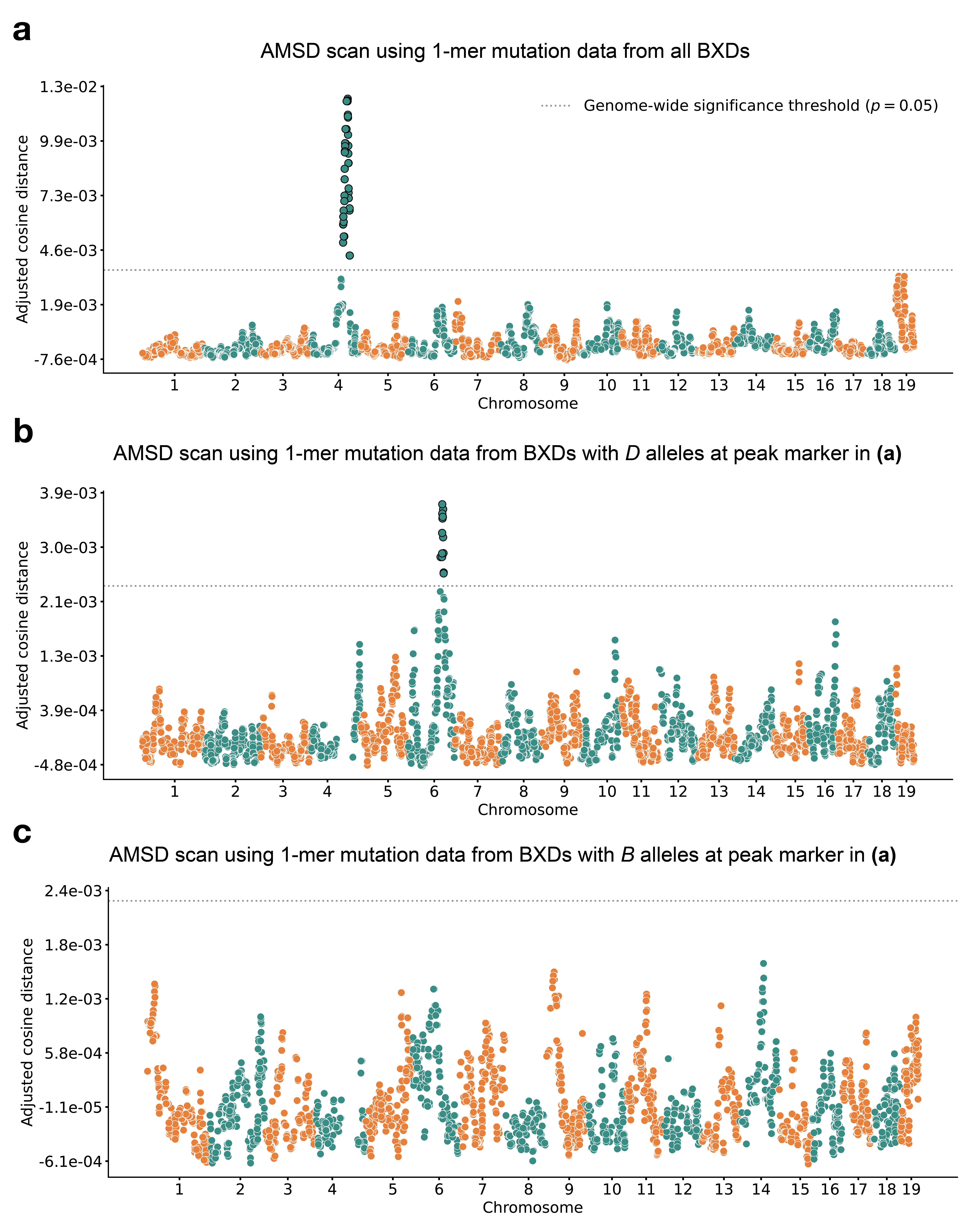Figure 2: Results of aggregate mutation spectrum distance scans in the BXDs. a) Adjusted cosine distances between aggregate 1-mer de novo mutation spectra on BXD haplotypes (n = 117 haplotypes; 65,552 total mutations) with either D or B alleles at 7,128 informative markers. Cosine distance threshold at p = 0.05 was calculated by performing 10,000 permutations of the BXD mutation data, and is shown as a dotted grey line. b) Adjusted cosine distances between aggregate 1-mer de novo mutation spectra on BXD haplotypes with D alleles at rs27509845 (n = 66 haplotypes; 42,171 total mutations) and either D or B alleles at 7,063 informative markers. Cosine distance threshold at p = 0.05 was calculated by performing 10,000 permutations of the BXD mutation data, and is shown as a dotted grey line. c) Adjusted cosine distances between aggregate 1-mer de novo mutation spectra on BXD haplotypes with B alleles at rs27509845 (n = 44 haplotypes; 22,645 total mutations) and either D or B alleles at 7,063 informative markers. Cosine distance threshold at p = 0.05 was calculated by performing 10,000 permutations of the BXD mutation data, and is shown as a dotted grey line.