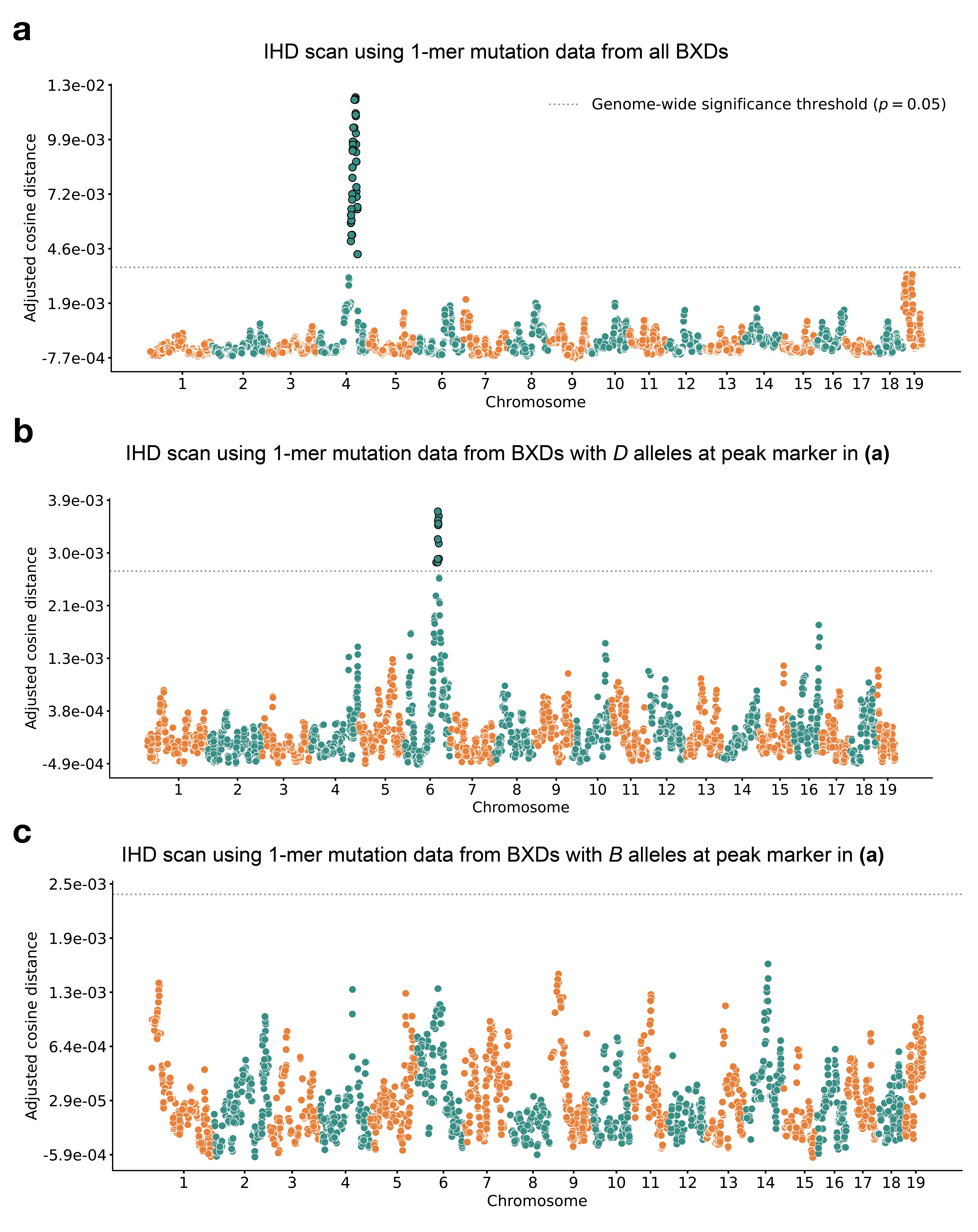 Figure 2: Results of inter-haplotype distance scans in the BXDs. a) Adjusted cosine distances between aggregate 1-mer de novo mutation spectra on BXD haplotypes (n = 117 haplotypes; 65,552 total mutations) with either D or B alleles at 7,321 informative markers. Cosine distance threshold at p = 0.05 was calculated by performing 10,000 permutations of the BXD mutation data, and is shown as a dotted grey line. b) Adjusted cosine distances between aggregate 1-mer de novo mutation spectra on BXD haplotypes with D alleles at rs27509845 (n = 66 haplotypes; 42,171 total mutations) and either D or B alleles at 7,276 informative markers. Cosine distance threshold at p = 0.05 was calculated by performing 10,000 permutations of the BXD mutation data, and is shown as a dotted grey line. c) Adjusted cosine distances between aggregate 1-mer de novo mutation spectra on BXD haplotypes with B alleles at rs27509845 (n = 44 haplotypes; 22,645 total mutations) and either D or B alleles at 7,273 informative markers. Cosine distance threshold at p = 0.05 was calculated by performing 10,000 permutations of the BXD mutation data, and is shown as a dotted grey line.