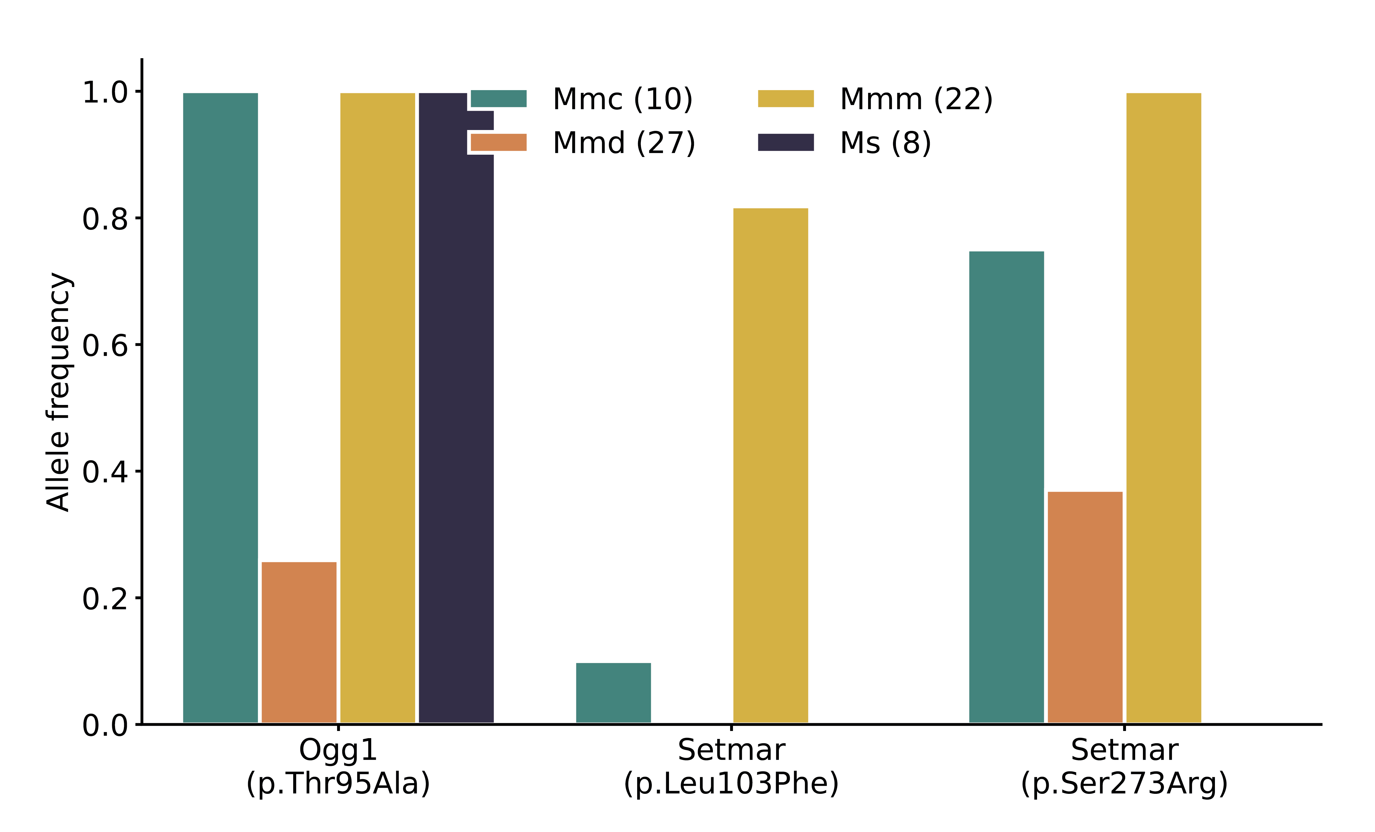 Figure 3-figure supplement 3: Frequency of nonsynonymous DNA repair mutations in wild mice. Alternate allele frequencies of each nonsynonymous DNA repair mutation overlapping the chromosome 6 mutator locus were calculated in populations of wild-derived mice from Harr et al. [30]. Numbers of mice in each subpopulation are shown in parentheses. Mmc (Mus musculus castaneus), Mmd (Mus musculus domesticus), Mmm (Mus musculus musculus), and Ms (Mus spretus). The Mbd4 p.Asp129Asn mutation was not observed in any wild populations.