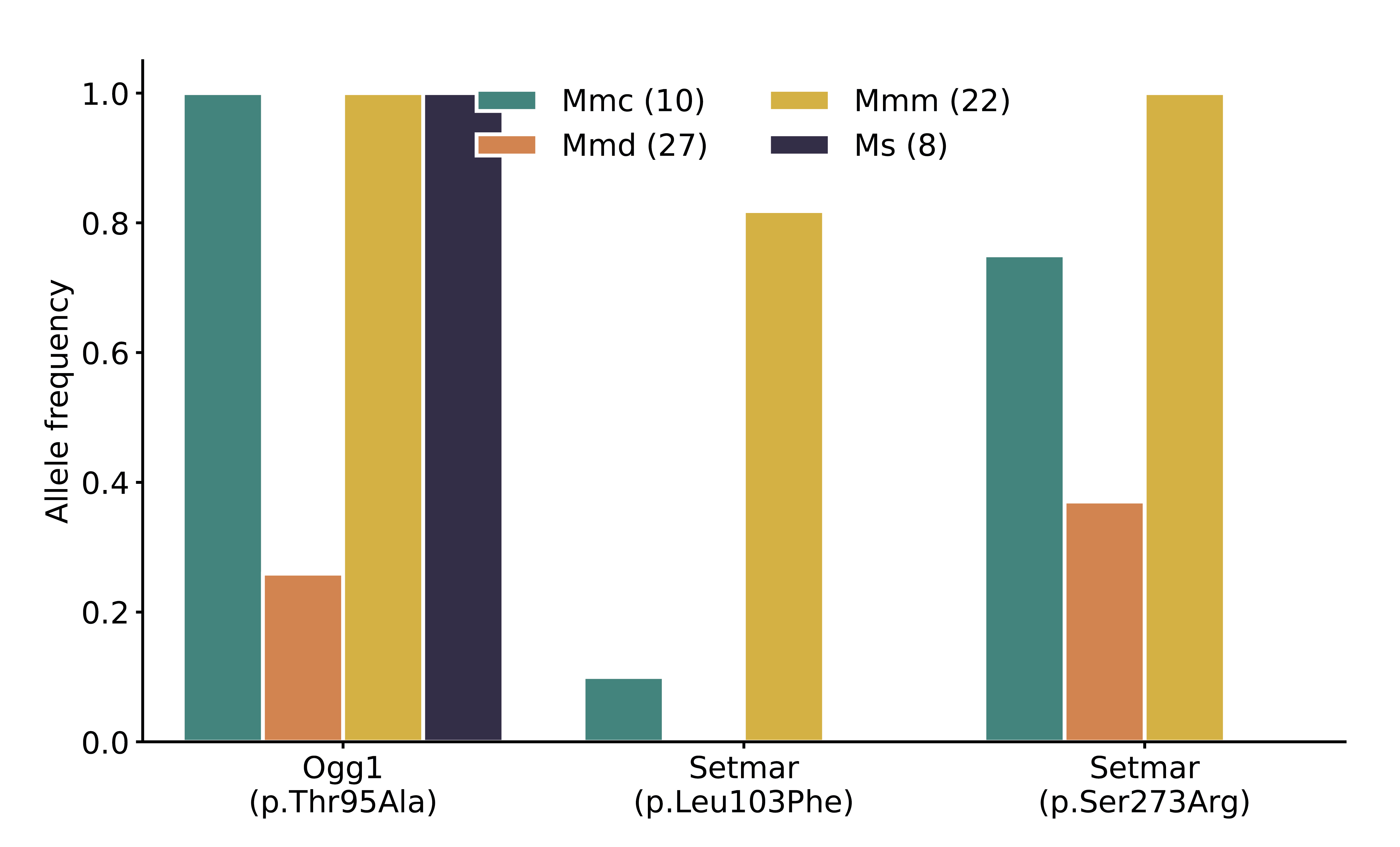 Figure 3-figure supplement 3: Frequency of nonsynonymous DNA repair mutations in wild mice. Alternate allele frequencies of each nonsynonymous DNA repair mutation overlapping the chromosome 6 mutator locus were calculated in populations of wild-derived mice from Harr et al. [PMID:27622383?]. Numbers of mice in each subpopulation are shown in parentheses. Mmc (Mus musculus castaneus), Mmd (Mus musculus domesticus), Mmm (Mus musculus musculus), and Ms (Mus spretus). The Mbd4 p.Asp129Asn mutation was not observed in any wild populations.