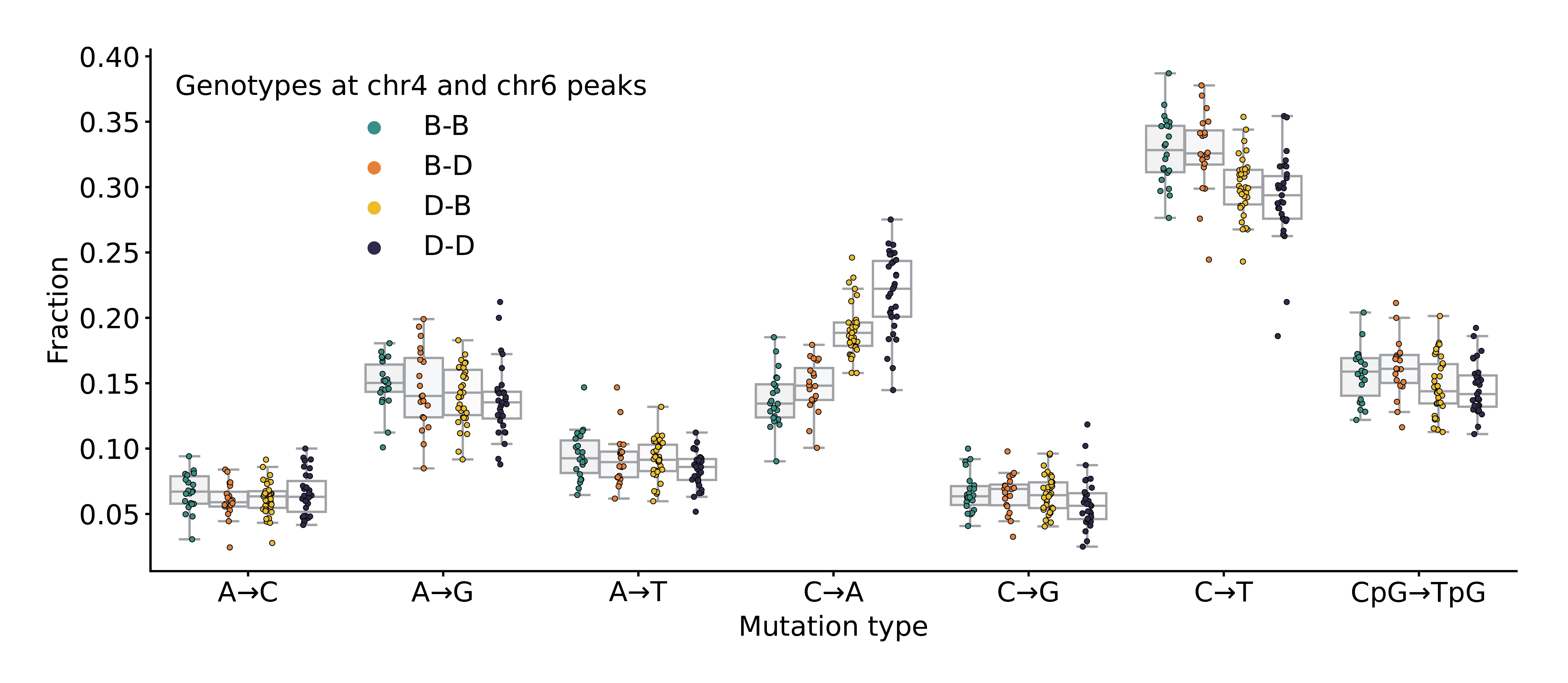 Figure 3-figure supplement 1: Mutation spectra comparison in BXD strains. Fractions of de novo germline mutations in BXDs with either D or B genotypes at markers rs27509845 and rs46276051, stratified by mutation type.